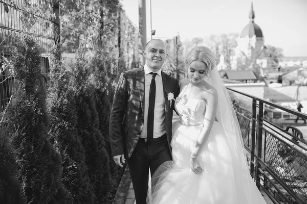 Sposa bionda con il suo sposo — Foto Stock