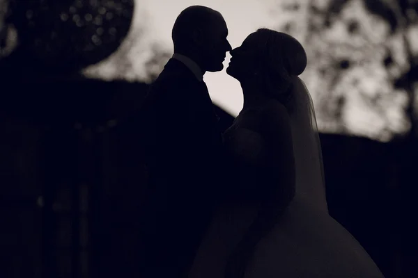 Sposa bionda con il suo sposo — Foto Stock