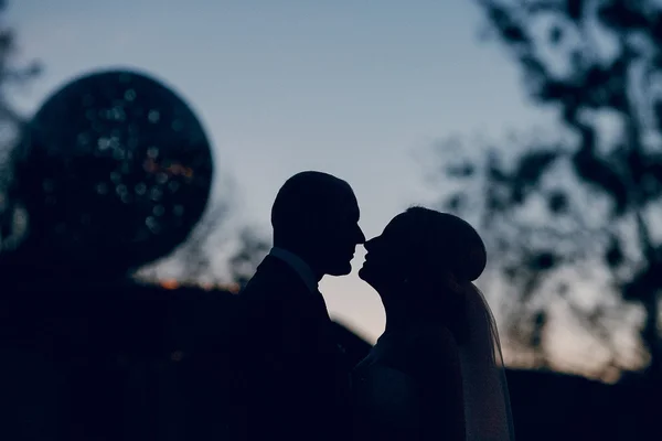 Blonde bride with her groom — Stock Photo, Image