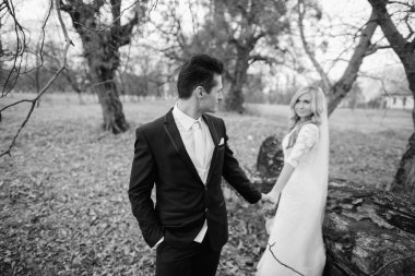 Altın sonbahar doğada yürüyüş gelin