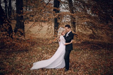 Altın sonbahar doğada yürüyüş gelin