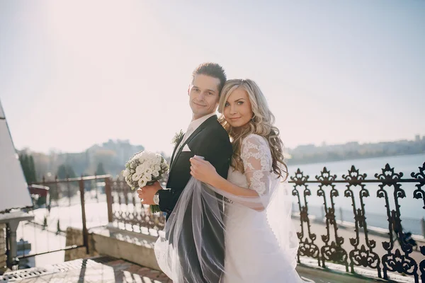 Wedding sunny weather and beautiful couple — Stock Photo, Image