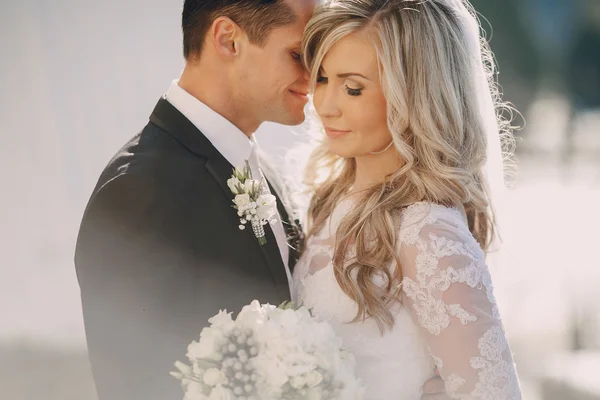 Wedding sunny weather and beautiful couple — Stock Photo, Image