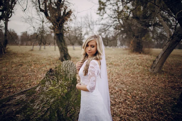 Sposa passeggiando nella natura dorata d'autunno — Foto Stock