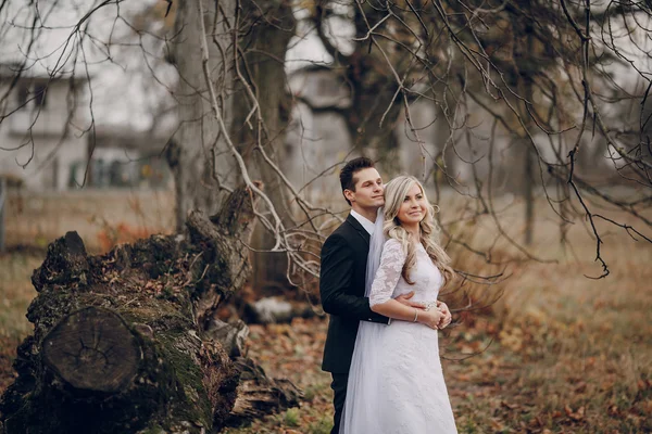 Bride walking in golden autumn nature — Stock Photo, Image