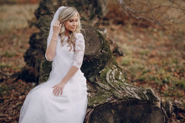 Bride walking in golden autumn nature — Stock Photo, Image