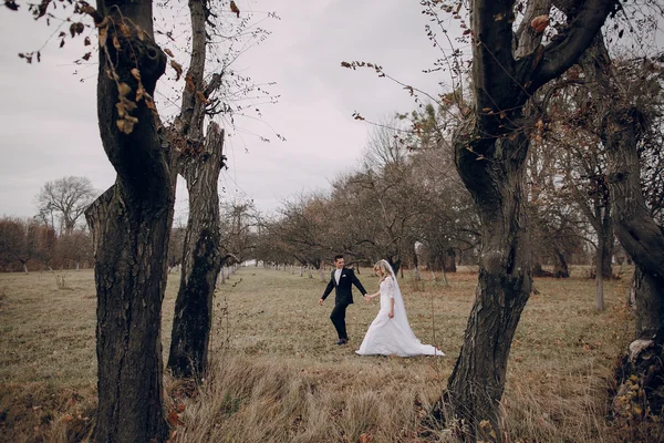 Sposa passeggiando nella natura dorata d'autunno — Foto Stock