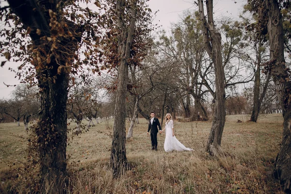 Bride walking in golden autumn nature — Stock Photo, Image