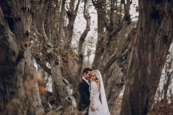 Sposa passeggiando nella natura dorata d'autunno — Foto Stock