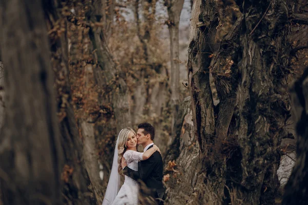 Braut spaziert in goldener Herbstnatur — Stockfoto