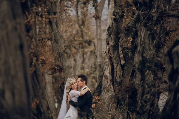 Bride walking in golden autumn nature — Stock Photo, Image