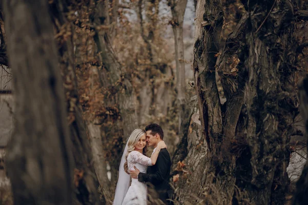 Sposa passeggiando nella natura dorata d'autunno — Foto Stock