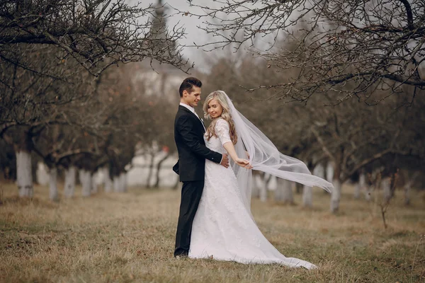 Mariée marche dans la nature d'automne doré — Photo