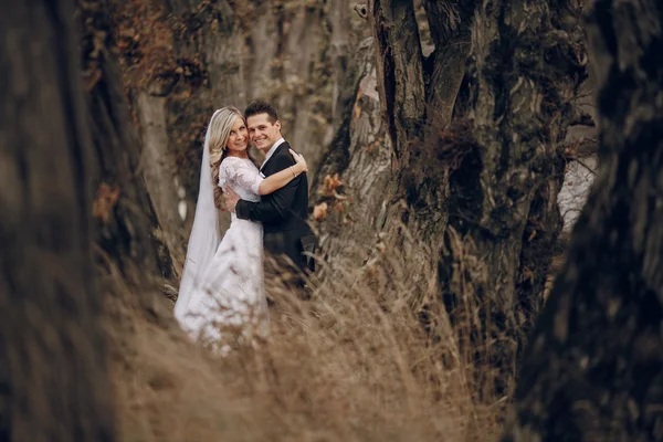 Bride walking in golden autumn nature — Stock Photo, Image