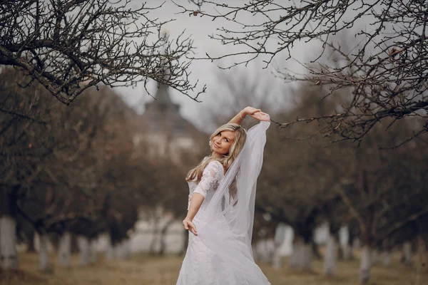 Novia caminando en la naturaleza dorada del otoño — Foto de Stock