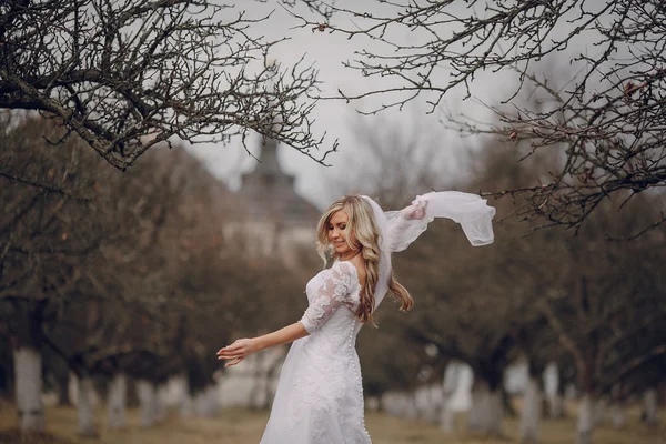 Novia caminando en la naturaleza dorada del otoño — Foto de Stock