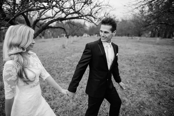 Novia caminando en la naturaleza dorada del otoño —  Fotos de Stock