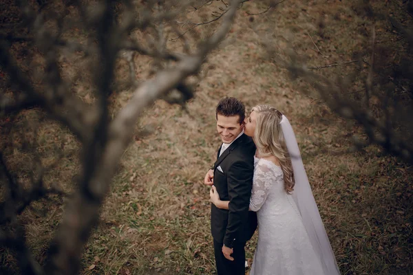 Sposa passeggiando nella natura dorata d'autunno — Foto Stock