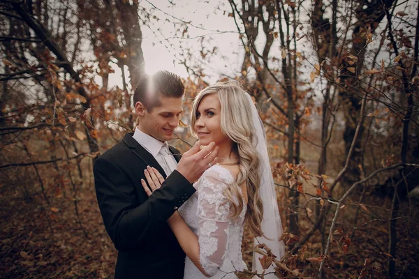 Bride walking in golden autumn nature — Stock Photo, Image