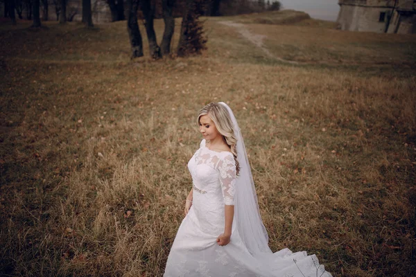 Mariée marche dans la nature d'automne doré — Photo