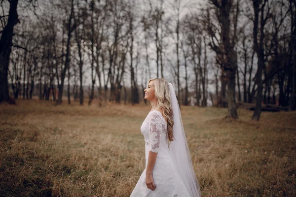 Bride walking in golden autumn nature — Stock Photo, Image