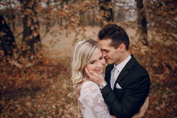 Sposa passeggiando nella natura dorata d'autunno — Foto Stock