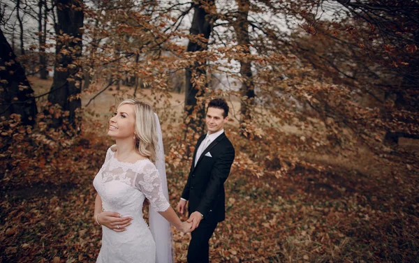 Braut spaziert in goldener Herbstnatur — Stockfoto