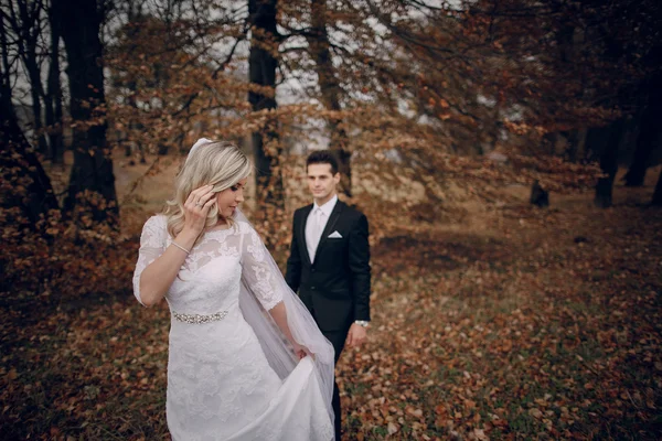 Bride walking in golden autumn nature — Stock Photo, Image