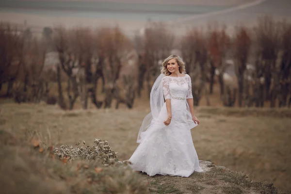 Bride walking in golden autumn nature — Stock Photo, Image