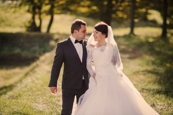 Hochzeit auf der Burg — Stockfoto