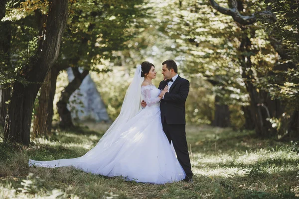 Hochzeit auf der Burg — Stockfoto