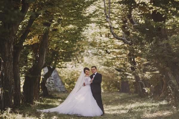 Wedding at the castle — Stock Photo, Image