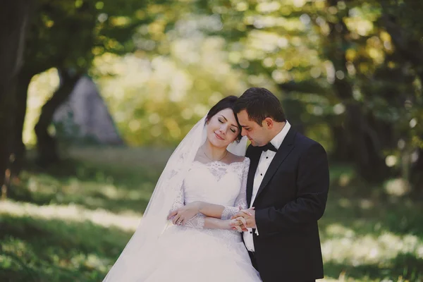 Casamento no castelo — Fotografia de Stock