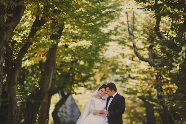 Boda en el castillo — Foto de Stock