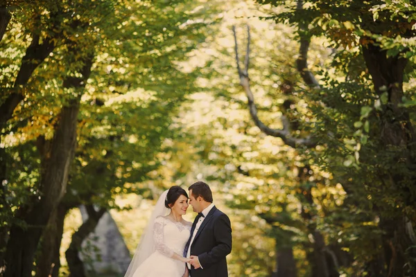 Wedding at the castle — Stock Photo, Image