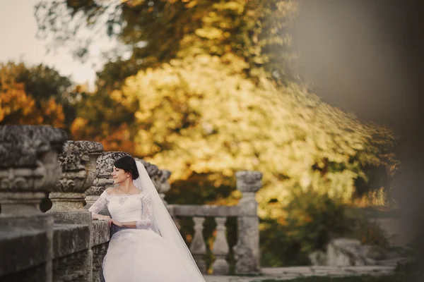 Bruiloft in het kasteel — Stockfoto