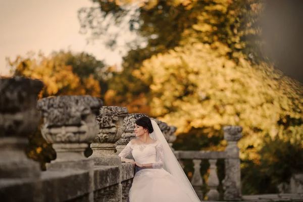Hochzeit auf der Burg — Stockfoto