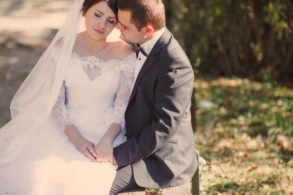 Boda en el castillo — Foto de Stock