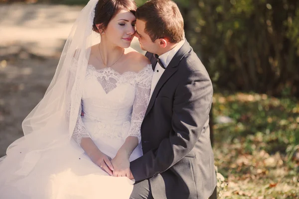 Mariage au château — Photo