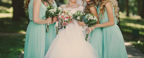 Boda verde — Foto de Stock