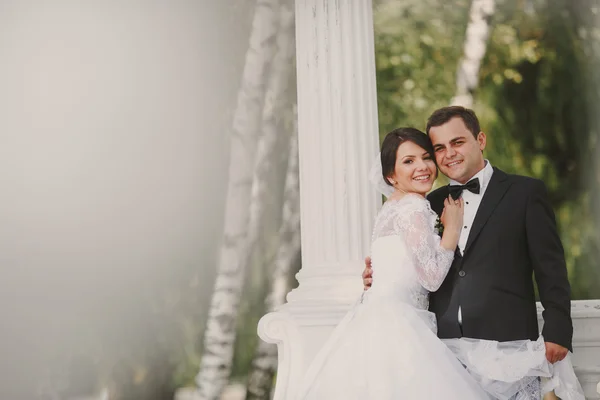 Grüne Hochzeit — Stockfoto