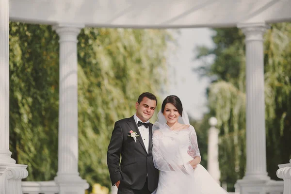 Boda verde —  Fotos de Stock