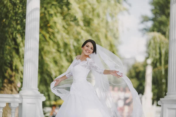 Boda verde — Foto de Stock