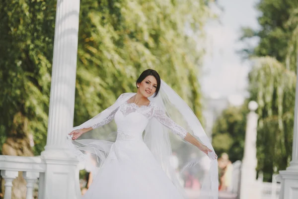 Boda verde — Foto de Stock