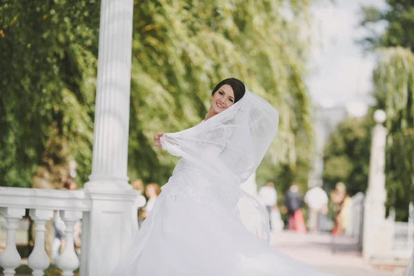 Boda verde — Foto de Stock