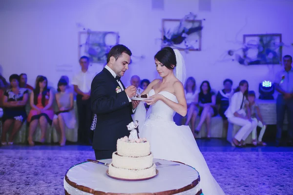 Corte de pastel de boda — Foto de Stock