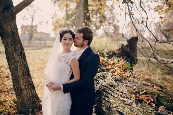 Matrimonio coppia innamorata all'aperto — Foto Stock