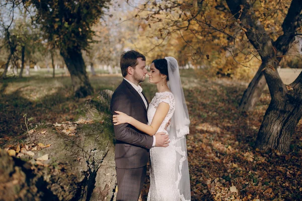 Casamento casal apaixonado ao ar livre — Fotografia de Stock