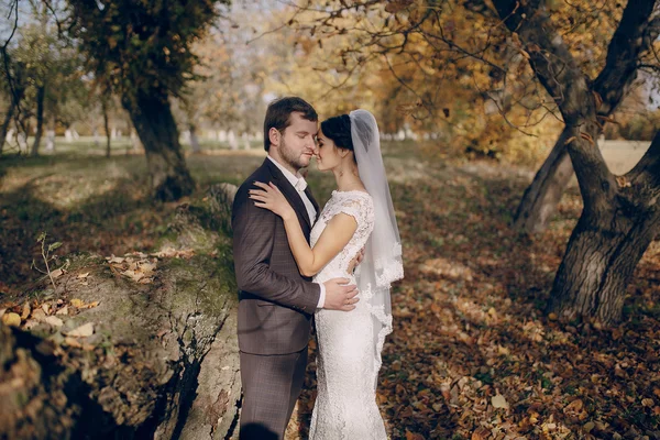 Hochzeitspaar verliebt im Freien — Stockfoto