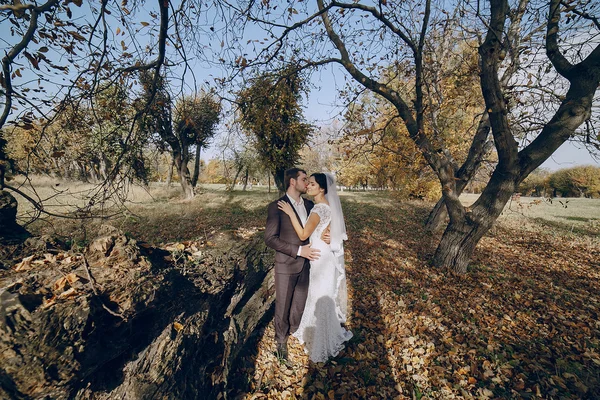 Hochzeitspaar verliebt im Freien — Stockfoto